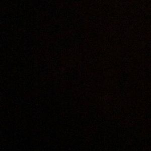 Meet your Posher, Chase